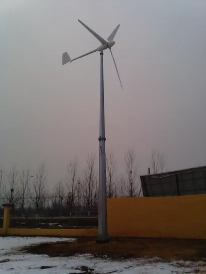 Wind Solar Hybrid Power System /Wind Turbine /Solar Power System (700W) Wind Generator System for Home Use Wind Power Wind Mill Solar System