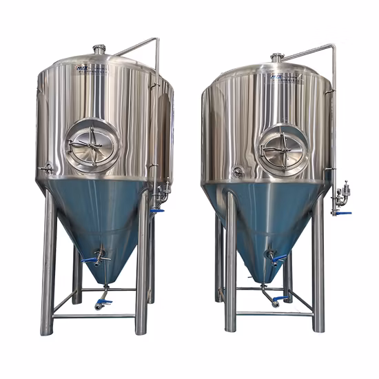 Cassman SUS304 2 容器 1000L 10bbl ビール醸造所醸造用パブビール醸造用機器